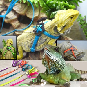 Reptile Leash/Reptile Harness/Reptile/Bearded dragon/Gecko leash/Iguana leash/Lizard leash/Small pets leash