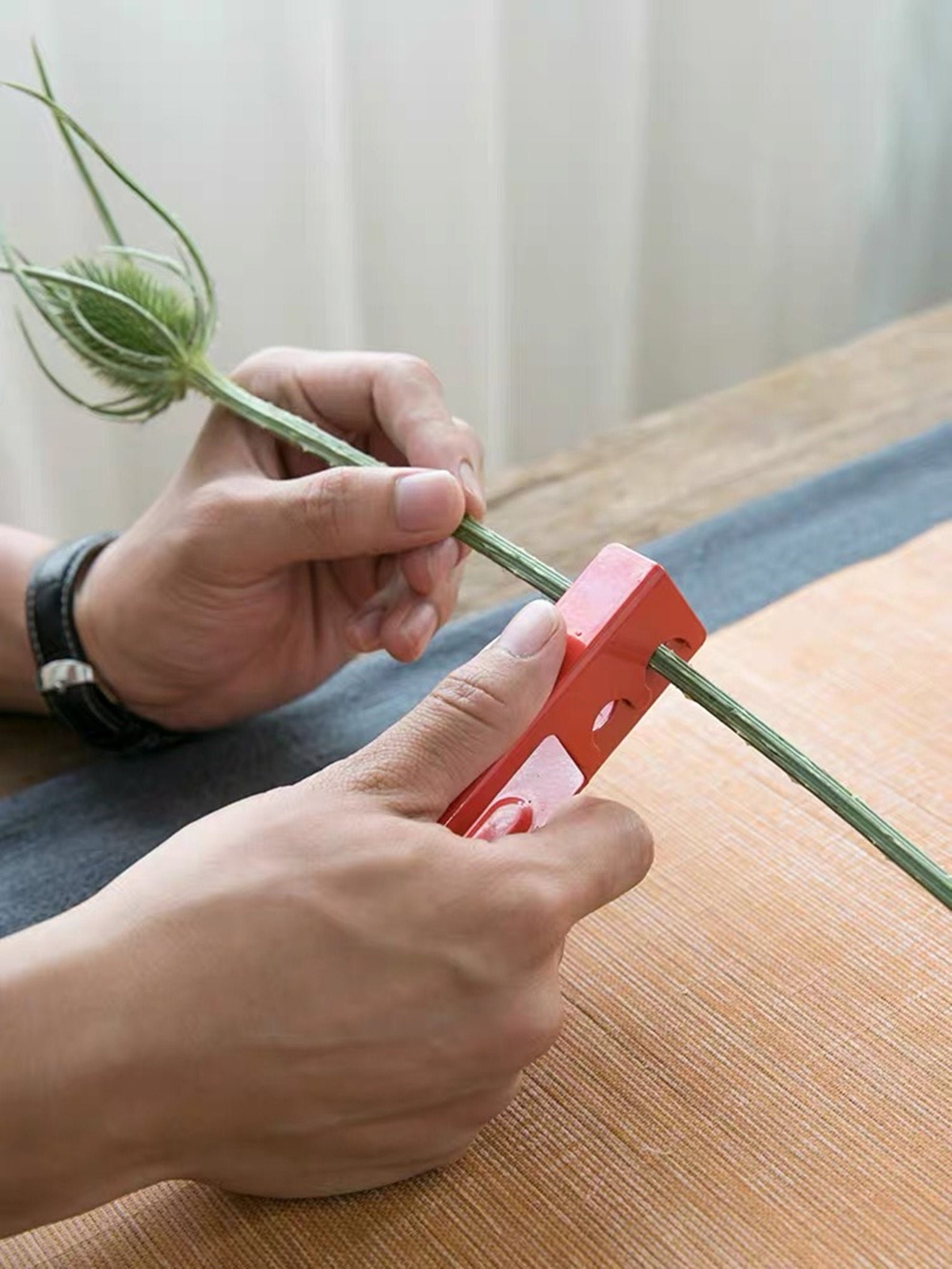 Thorn Remover Tool/rose Thorn and Leaf Stripping Tool/thorn Etsy UK