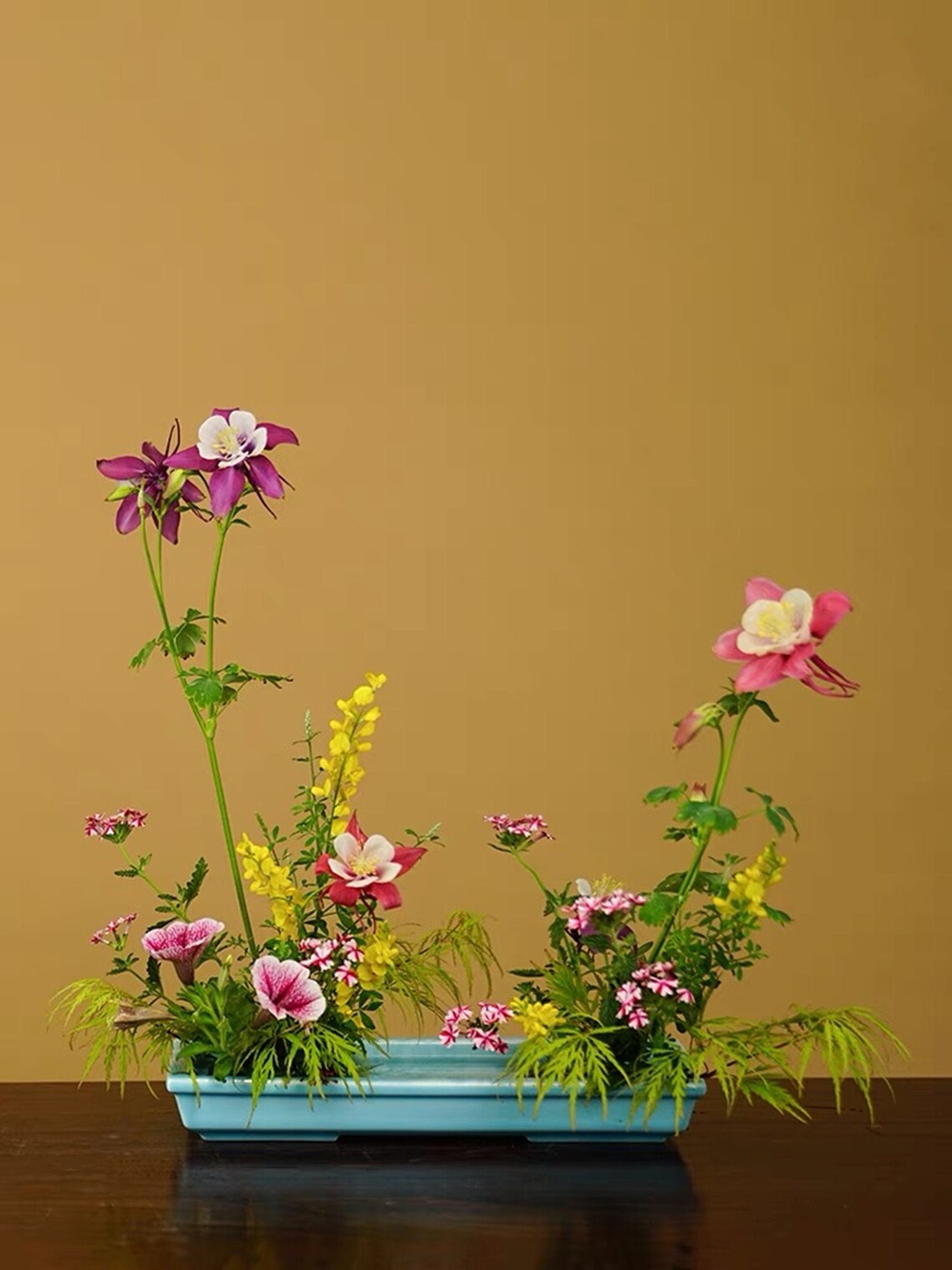 3 Colors Rectangle Suiban Set1 Vase1 Kenzan/Ikebana Etsy