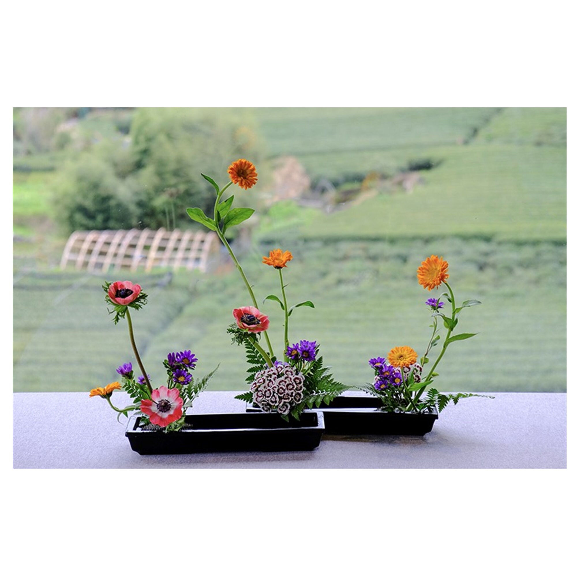 3 Colors Rectangle Suiban Set1 Vase1 Kenzan/Ikebana Etsy