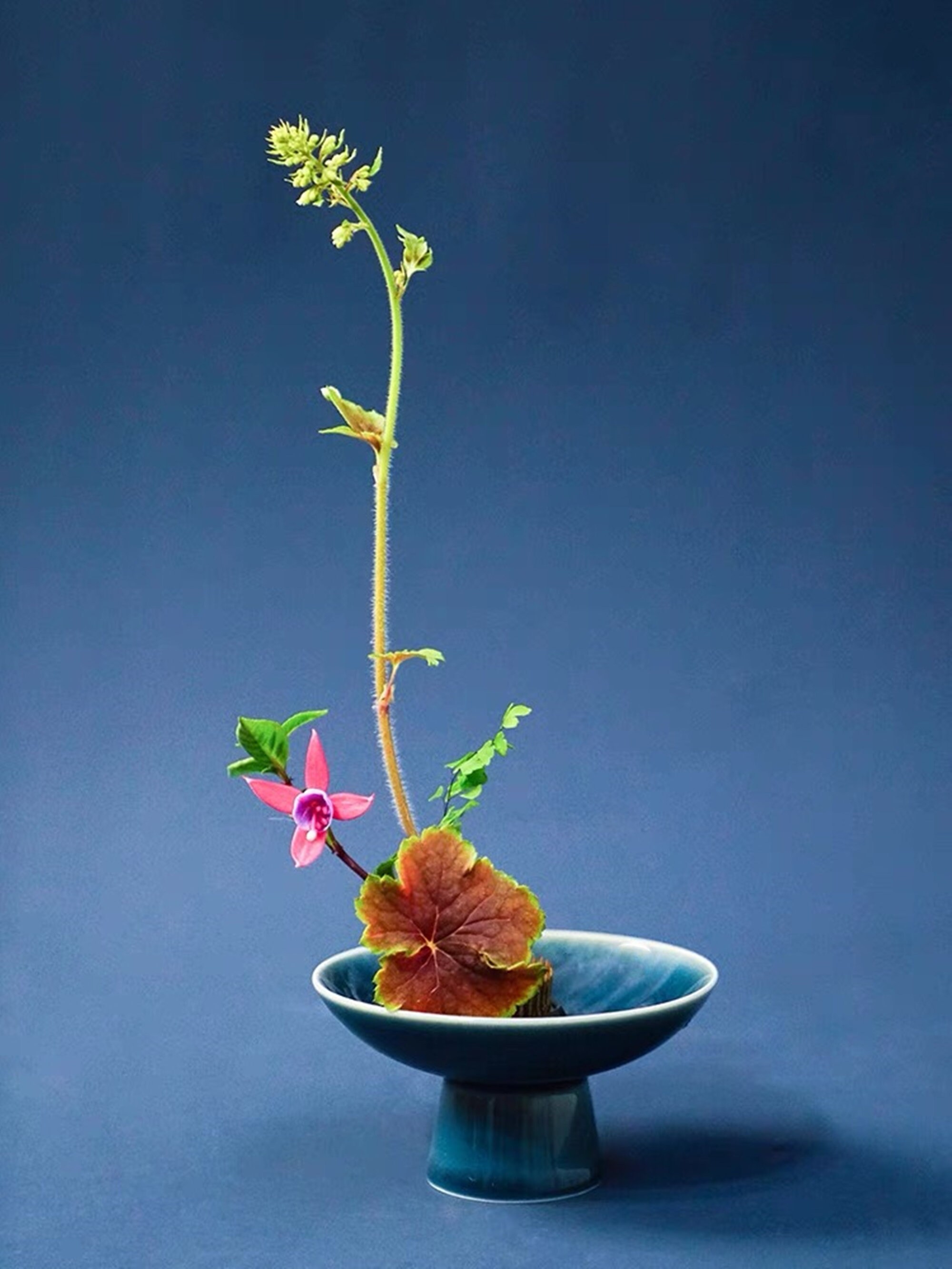 4 Colors Vintage Kenzan Vase Set1 Kenzan 1 Vase/Flower Etsy