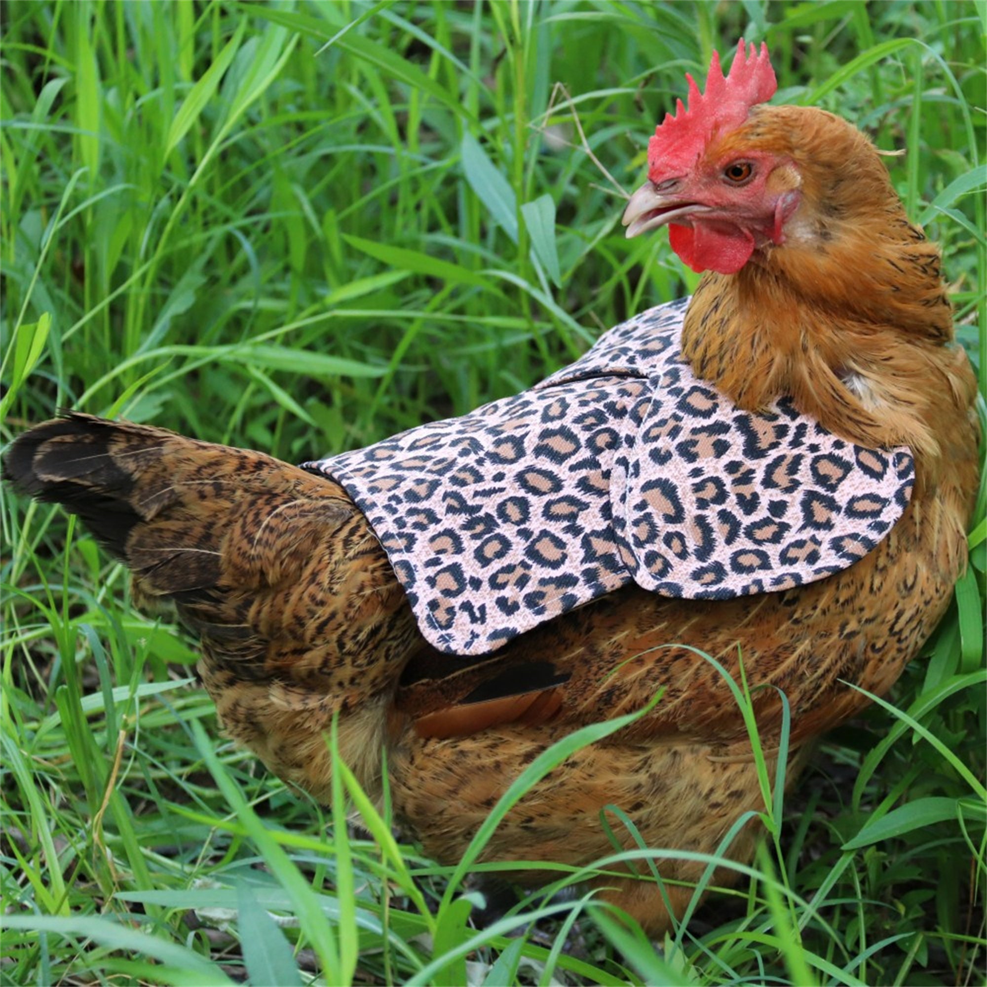 Schürze Oma Huhn und ihre Küken personalisiert