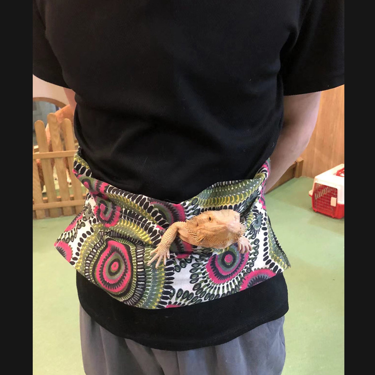 Bearded Dragon Sling/bearded Dragon Carrier/canvas Pet Etsy