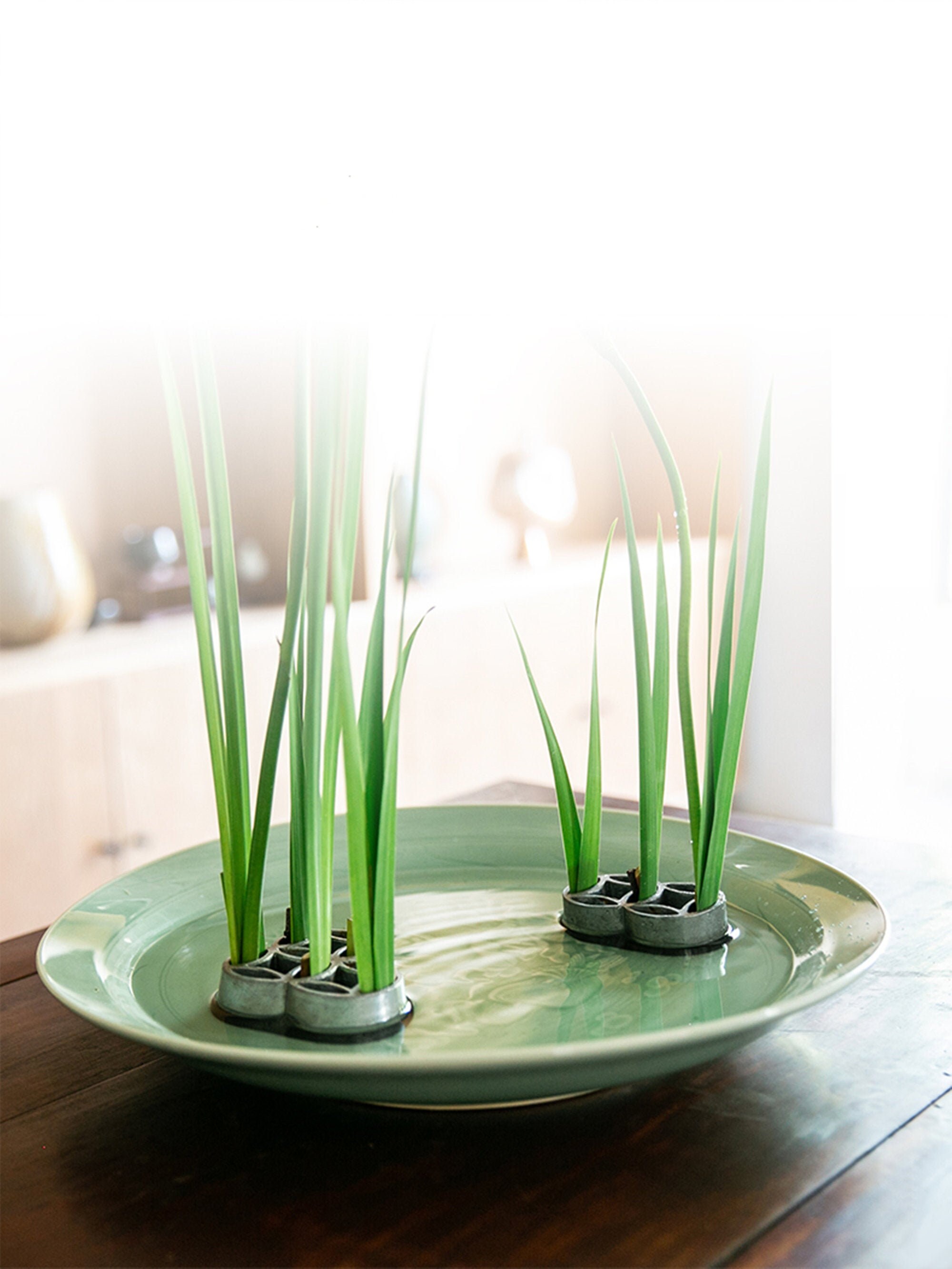 2 Sizes Kenzan/vintage Metal Flower Frog for Large Branches Etsy