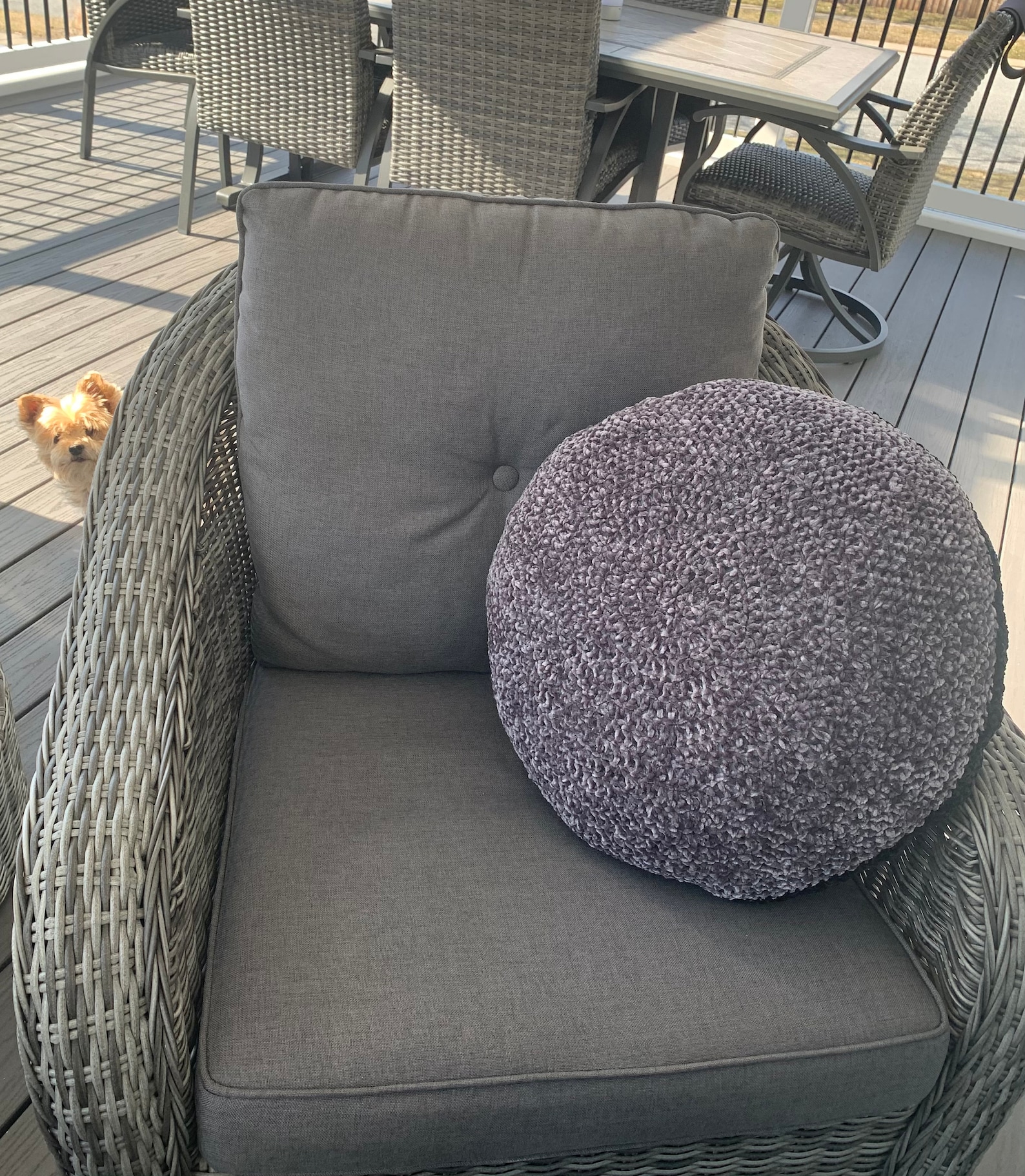 Retro Velvet Circle Pillow Black/grey Etsy