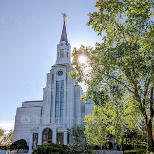 Boston Massachusetts Temple in Summer Digital Download
