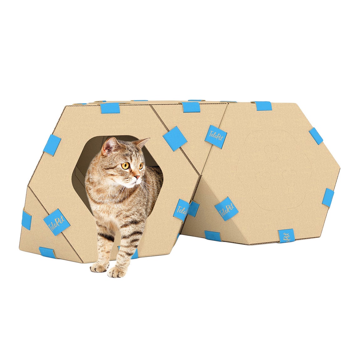 Carry Box for Dogs and Cats Modular House for CatsBest Pet Etsy