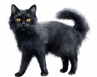 May include: A black cat with bright orange eyes stands on a white background. The cat has long, fluffy fur and a long tail.