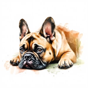 8 Französische Bulldogge Clipart, Aquarell Bulldogge, druckbare Aquarell Französische Bulldogge Clipart, hochwertige JPGs, digitaler Download, Papiermodell
