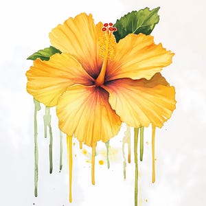 8 clipart de flores abstratas, impressão de flores, clipart de aquarela para impressão, PNGs de alta qualidade, download digital, artesanato em papel, diários de lixo