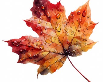 Watercolor Maple Leaf Clipart: Autumn Glitter Leaves PNG JPG - Commercial Use