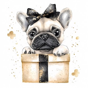 Niedlicher Französischer Bulldogge Welpe in Glitzer Geschenk Box Clipart, 12 schwarz und goldene Schleifen Hunde Illustration, druckbare PNG für Geburtstagskarten, Sublimation