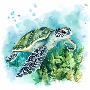 8 Watercolor Turtle Clipart, Marine Turtle, Printable Watercolor clipart, High Quality PNGs, Digital download, Paper craft, junk journal
