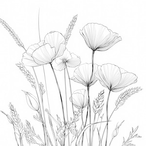 Op de afbeelding: Een zwart-wit lijntekening van klaprozen en tarwearen. De afbeelding toont verschillende open klaproosbloemen met gedetailleerde bloemblaadjes en tarwearen. Het kunstwerk is geplaatst tegen een effen witte achtergrond.