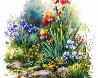 Watercolor Iris Flower Print: Botanical Garden Art, Digital Download JPG PNG File, 1114