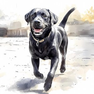 High-Quality Black Labrador Clipart Set of 8, Black Labrador Watercolor PNG Instant Download for Commercial Black Labrador Print Nursery Art