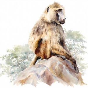 Baboon Watercolor Wall Art Bundle Set of 12 – Safari Wildlife Animal Posters for DIY Home Decor