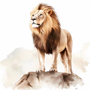 10 Lion sur la falaise des cliparts, Lion aquarelle, clipart aquarelle Lion imprimable, PNG de haute qualité, téléchargement numérique, Lion PNG, travaux manuels en papier