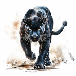 Aquarel Panther Clipart Set van 8, Black Panther Clipart, Afdrukbare Panther Art Quality PNG's, Digitale download, Papierkunst, Junkdagboek