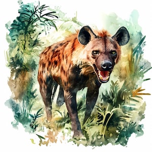 Hyena Clipart, Safari Clipart Set of 9, African Animals, Hyena Sticker, Watercolor Hyena High Quality PNG Bundle Paper Craft, Commercial Use