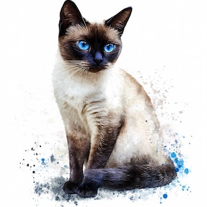 8 Shabby Chic Siamese Cat Clipart, Siamese Kitten PNG, Printable Watercolor Siamese Cat, High Quality PNGs, Digital download, Paper craft