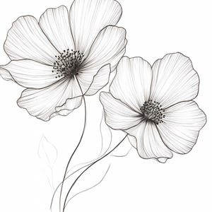 Clipart abstrait fleurs noir et blanc dessinés à la main, impression de fleurs, art mural imprimable clipart floral, créations en papier, journaux indésirables