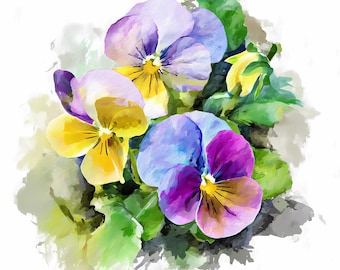 水彩画原画水仙とパンジー春のガーデン 水仙とパンジーの花畑 水彩画 イラスト素材 [6533658] - フォトライブ