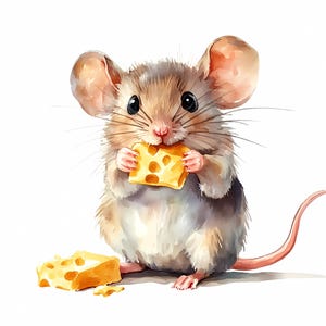 Cute Mouse with Cheese, Mouse Clipart Set of 8, Watercolor Mouse Animal, Card making, Quality Paper craft download, Junk Journal, Card Gift