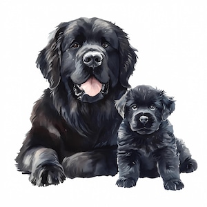 Schwarzer süßer Hund und Welpe Clipart Bundle, Hund Familie Portrait hohe Qualität PNGs Sofortiger Download Kindergarten Hund Kunst, Junk Journals, Papiermodelle