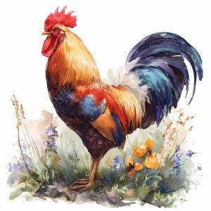 Könnte beinhalten: Aquarellmalerei eines Hahns mit leuchtendem Gefieder. Der Hahn hat einen roten Kamm und Kehllappen, mit einem Körper aus orangefarbenen, roten und blauen Federn. Er steht in einem Feld mit Wildblumen, darunter lila und orangefarbene Blüten, und hohem Gras.