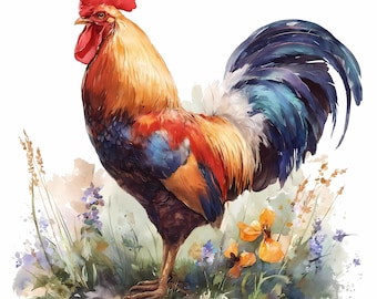 Watercolor Rooster Art Print: Rustic Farmhouse Kitchen Decor (PNG JPG Digital Download)