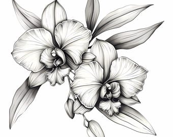 ユリの花の鉛筆スケッチアートバンドル：植物画デジタルダウンロード