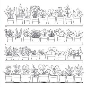 Juego de 15 páginas para colorear de flores en macetas en estantes – Arte botánico lineal PNG para niños – Hoja para colorear floral imprimible – Descarga digital