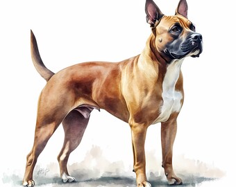 Pitbull Terrier Clipart Bundle Set of 8: Commercial Use PNG Images Digital Download, 599