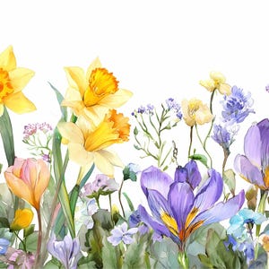 May include: Watercolor painting of a vibrant floral border. The image features a variety of flowers, including yellow daffodils, purple crocuses, and blue and white wildflowers. The flowers are set against a white background, creating a fresh and colorful design.