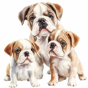 English Bulldog Watercolor Clipart Bundle Set of 8 Include High Quality Designs, Bulldog Portrait, Bulldog Mom and Puppy, Dog lovers&#39; gift