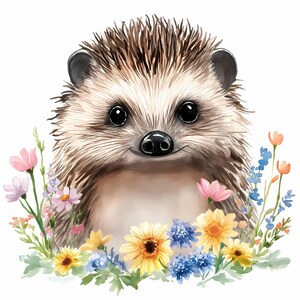 8 Clipart hérisson mignon, clipart hérisson aquarelle imprimable, clipart hérisson moissonneuse-batteuse, PNG de haute qualité, créations en papier, journaux indésirables