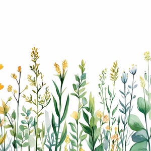 Watercolor Wild Grass and Wildflower Meadow Borders Clipart Bundle, Green Botanical Herbs Field Edge, Summer Floral PNG JPG Divider Art