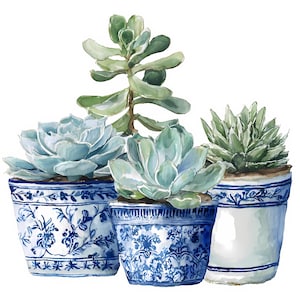 Puede incluir: Pintura a la acuarela de tres suculentas en macetas. Las suculentas tienen hojas de color azul verdoso y están plantadas en macetas de cerámica con diseños azules y blancos. Las macetas tienen un diseño floral.