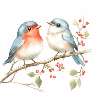 8 Clipart di uccelli scandinavi, uccelli floreali, clipart acquerello stampabili, PNG di alta qualità, download digitale, carta da regalo, diari spazzatura
