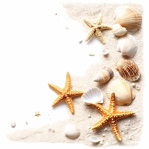 Puede incluir: Una composición de conchas marinas y estrellas de mar sobre arena. Las estrellas de mar son de color naranja con puntos blancos, y las conchas son de varios tonos de beige y blanco. La arena es de color beige claro.