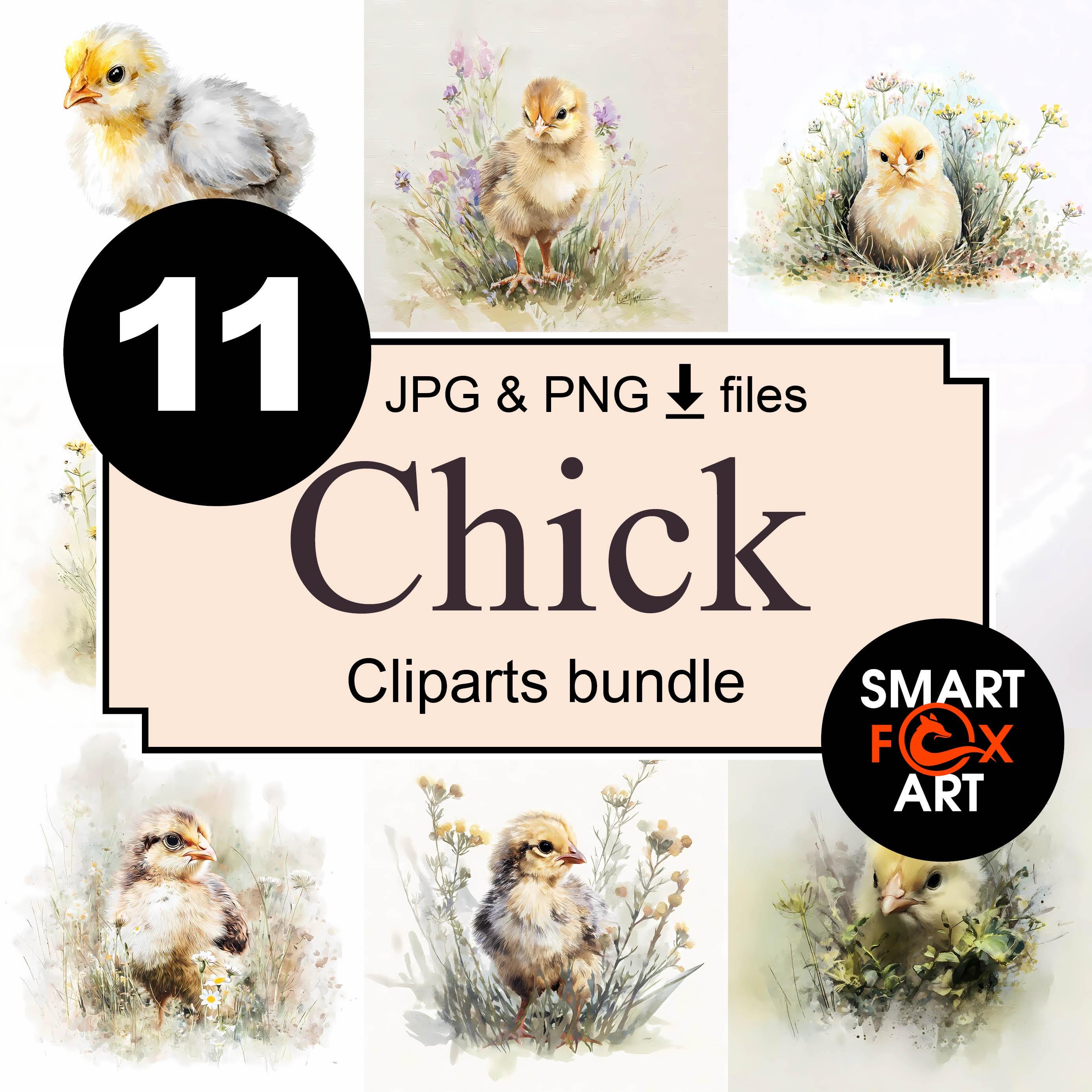 Baby Chick Watercolor Clipart Bundle, Floral PNG JPG, Digital Download ...