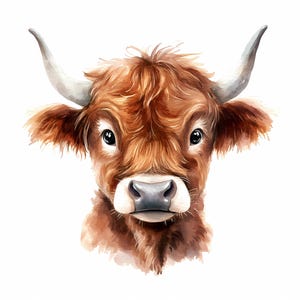 Highland Cow Portrait Clipart Set of 8, Watercolor Highland Cow, Printable Cow Art, Quality JPG Digital download Paper craft junk journals