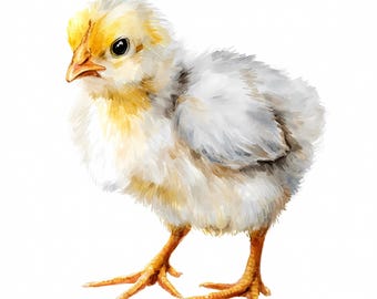 Watercolor Baby Chick Clipart, Cute Easter PNG, Farm Animal Art ...