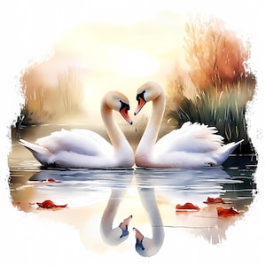 Conjunto de 9 PNG de casal de cisnes de outono – Cisnes brancos românticos no lago para sublimação, impressões de casamento, envoltórios de canecas, arte de parede para download instantâneo