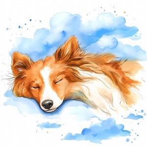 Pacchetto di 8 Clipart di cani Collie che dormono in cielo, acquerello, di alta qualità, con download immediato, stampabili, clipart per scrapbooking, arte per bambini con Collie.