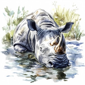 Rhino in Water Clipart Bundle Set of 8, Watercolor Rhinoceros, Printable Rhino Watercolor clipart Digital download High quality Paper crafts
