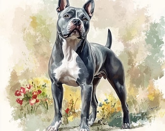 Watercolor Pitbull Clipart Bundle, American Pit Bull Terrier PNG Set, Digital Download