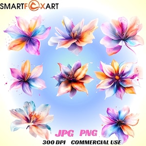 Pacchetto di clipart floreali astratte colorate, PNG e JPG trasparenti, fiori arcobaleno acquerellati, grafica botanica stampabile con fiori.