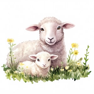 9 schapen boerderij clipart, schapen familie afdrukbare aquarel clipart, hoge kwaliteit png's, digitale download, Paper Craft, ongewenste tijdschriften